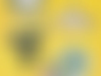 植物とうつわ展　vol.2