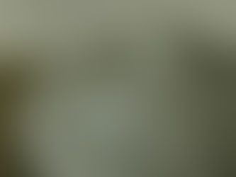 個展「かさねてかさねて」