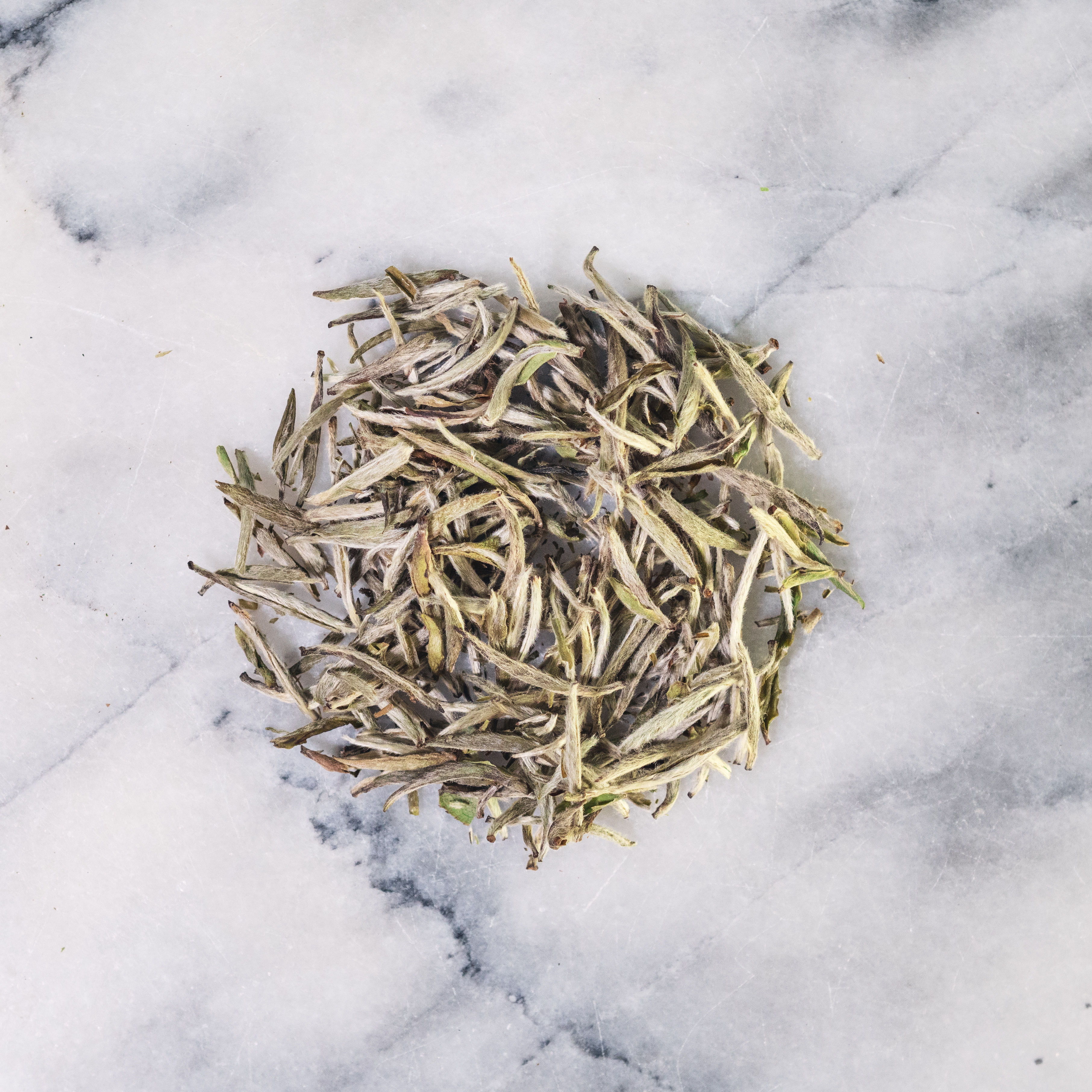BAI HAO YIN ZHEN o "SILVER NEEDLE" - Tè bianco