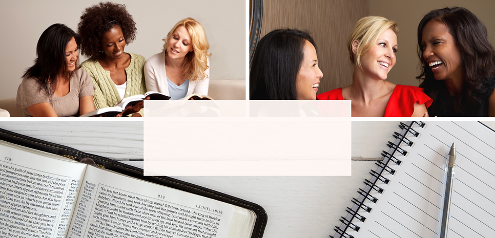 Website Banner (1).png