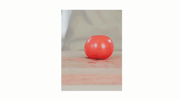 肉球がかわいい (プレゼンテーション).gif
