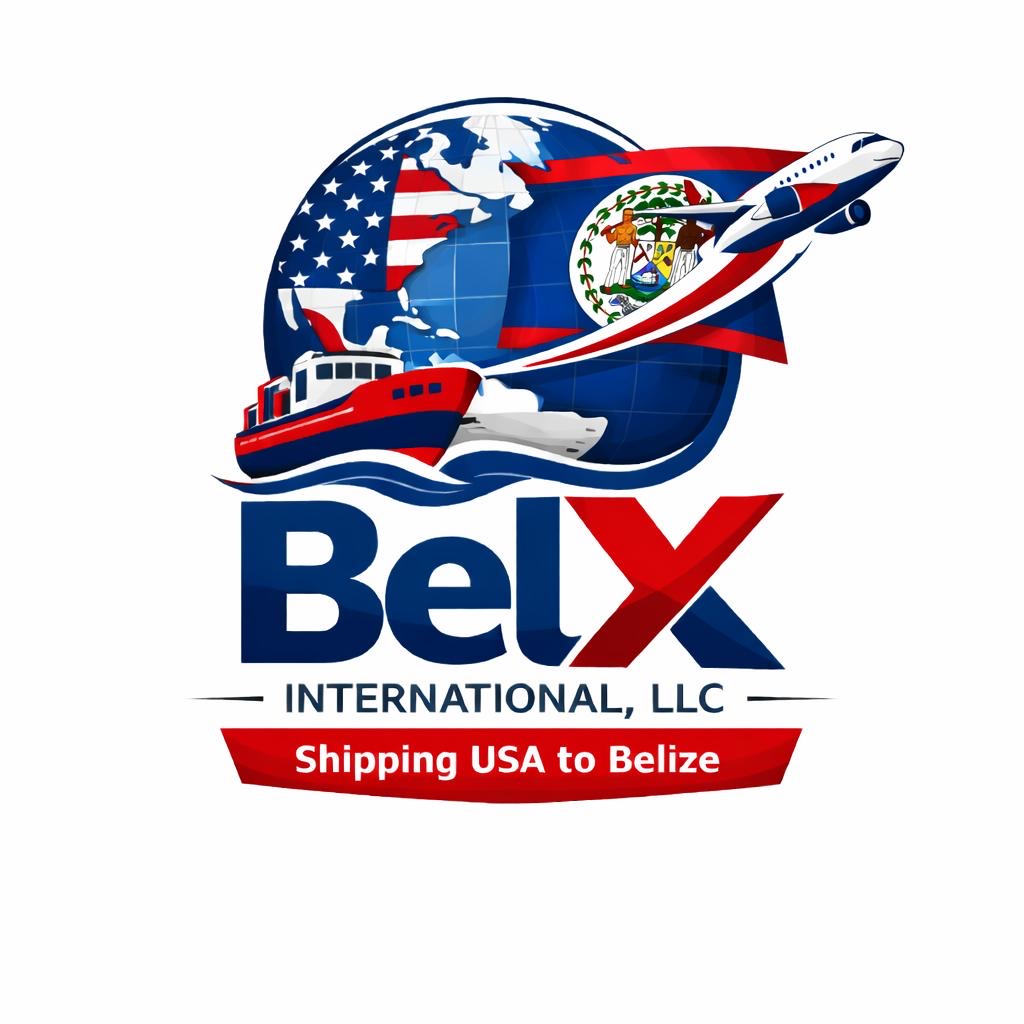 BelX International logo