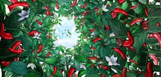 영양고추홍보관