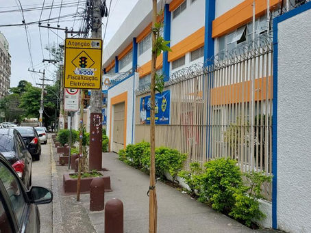 Fundação Parque e Jardins realiza plantio de árvores na Freguesia