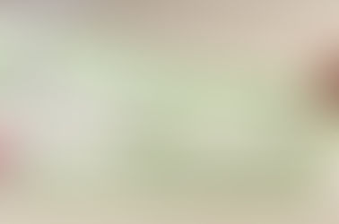 Eleições 2022: Não votou? Saiba como regularizar sua situação