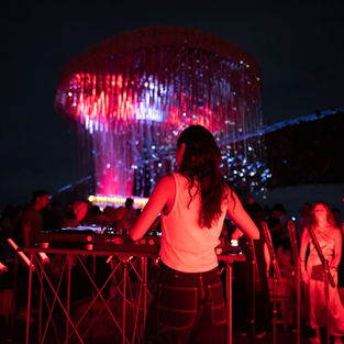 WHAT TO EXPECT AT TICHUCA THIS NEW YEAR
