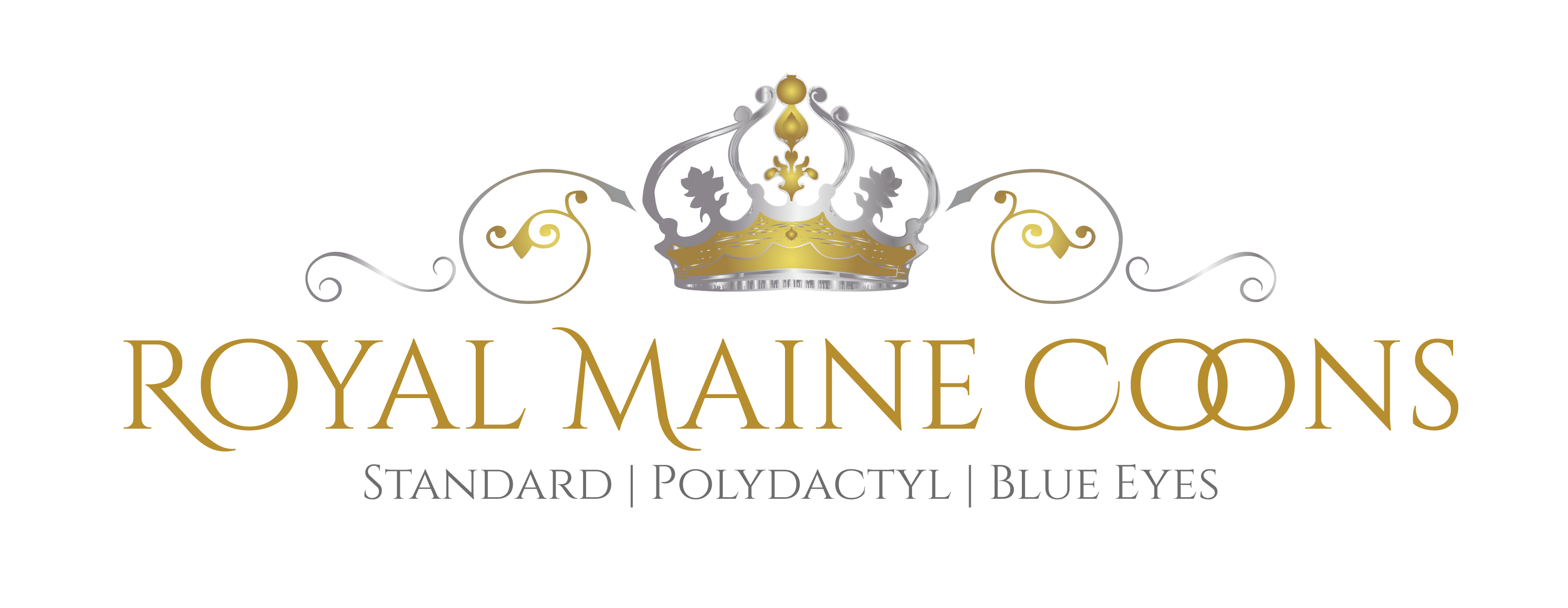 MTTS Cattery, LLC, dba Royal Maine Coons logo