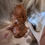 Thumbnail: Standard Red Marble FRIEDA of ROYAL MAINE COONS