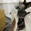 Thumbnail: Polydactyl Chase of Royal Maine Coons
