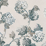 Thumbnail: Anna French SUSSEX HYDRANGEA