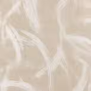 Thumbnail: Thibaut MAGNUS