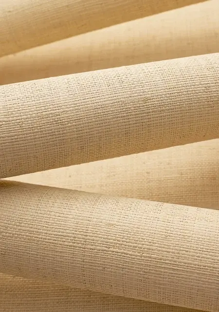Thumbnail: Thibaut CAROLINA RAFFIA