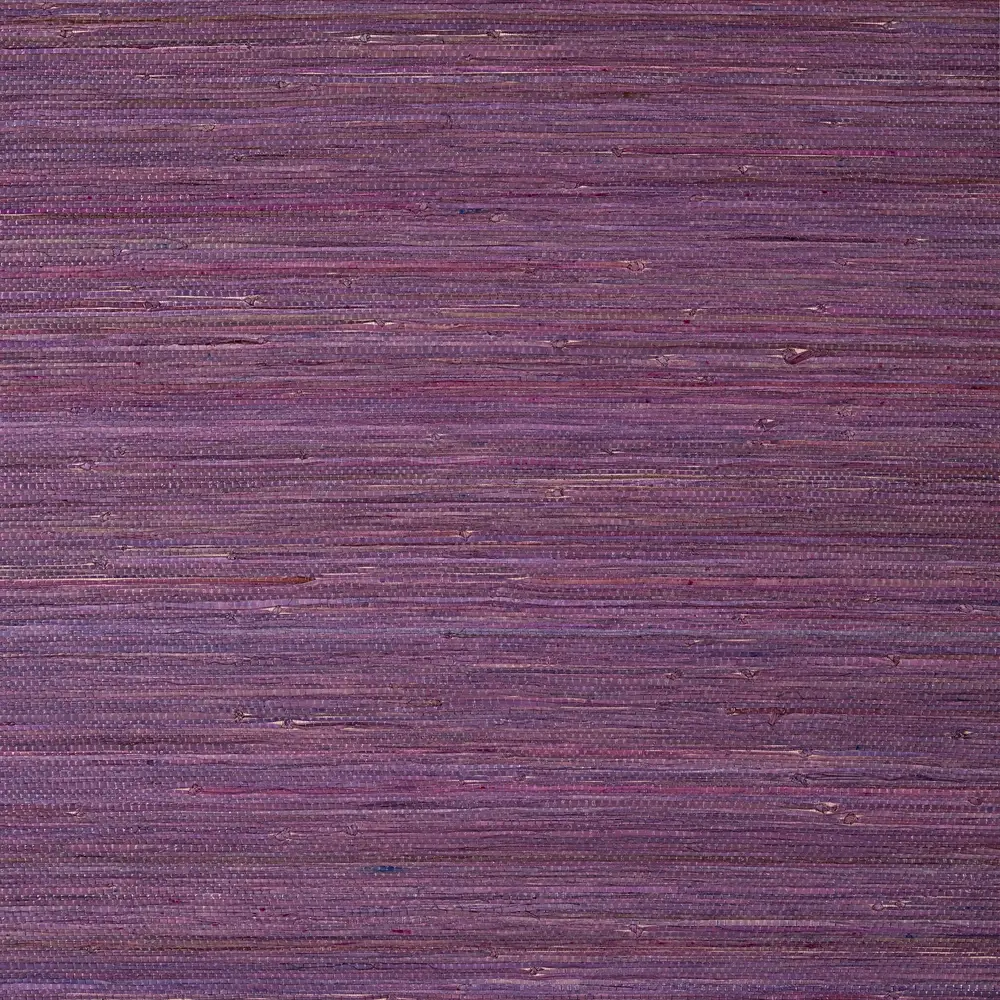 Thibaut RAFFIA PALM