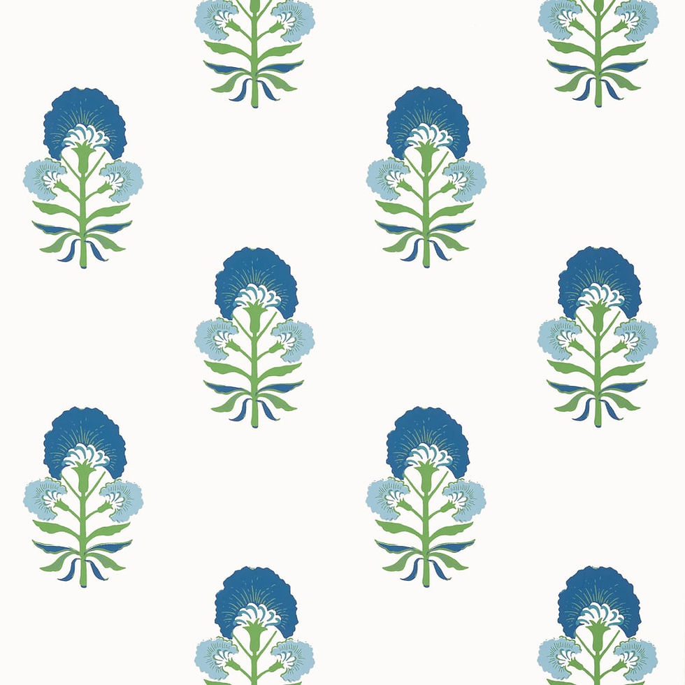 Thumbnail: Thibaut TYBEE BUD