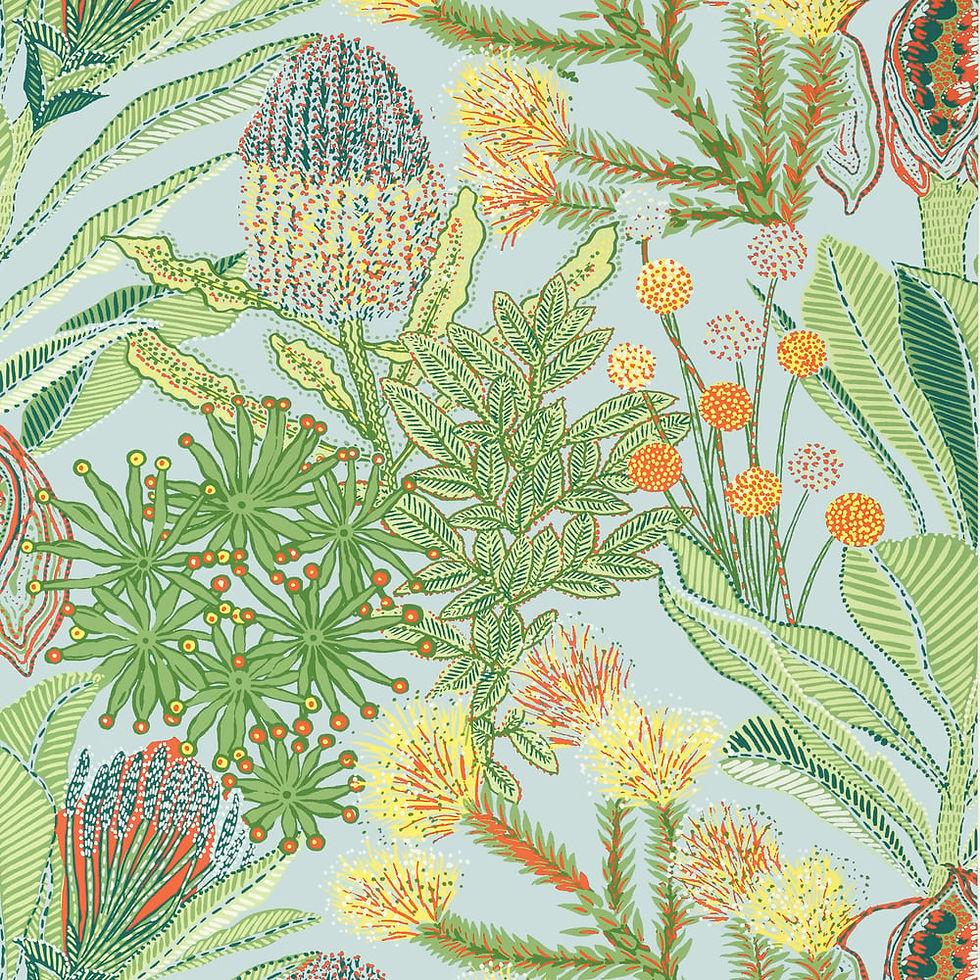 Thumbnail: Thibaut PROTEA