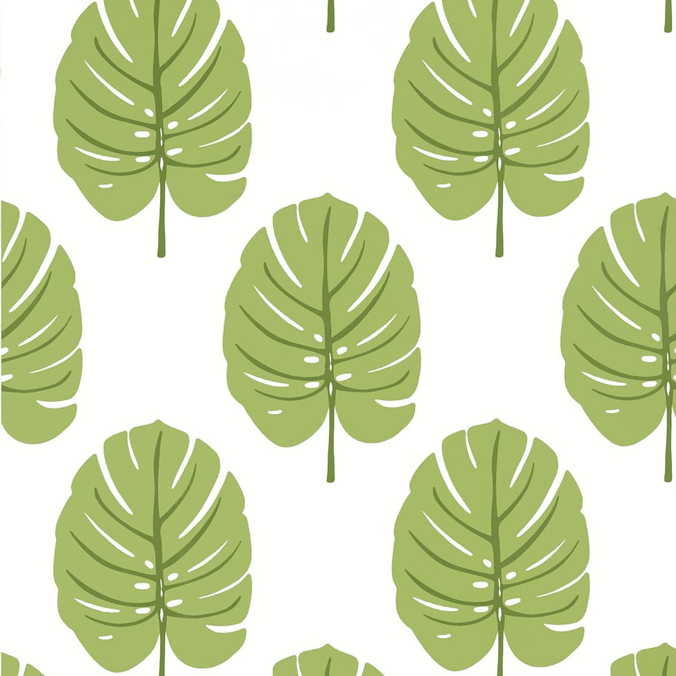 Thumbnail: Thibaut MONSTERA