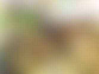 BJクラシック入荷のお知らせ!