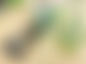 左右非対称デザインメガネ