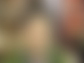 「歩」AYUMI・L-1017なお客様