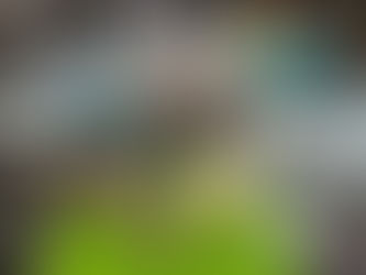 5月(GW)の定休日のお知らせ!