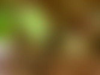 メガネアート・選抜「歩」総選挙第1位 L-1018 が入荷!