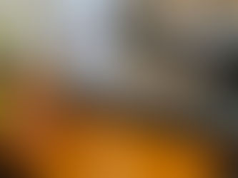 強度近視の方に人気のVioRou入荷しました!