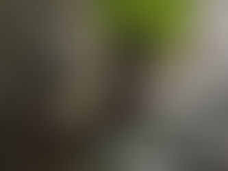 「歩」 AYUMI L-1018