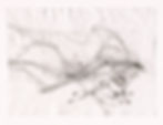 Seegrund (s) IV