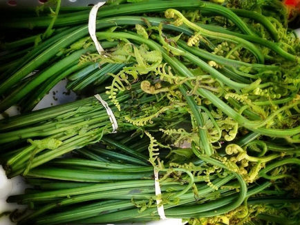 Bản sắc ẩm thực dân tộc Dao nơi đại ngàn