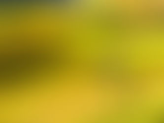 Du lịch Mai Châu Hòa Bình: kinh nghiệm, lịch trình & chi phí