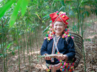 Giữ trọn hương vị núi rừng Tây Bắc với đặc sản Măng ớt Trạm Tấu 