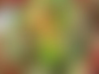 Thưởng thức ẩm thực Tây Bắc – Nếp sống gửi trong từng bữa cơm dân dã