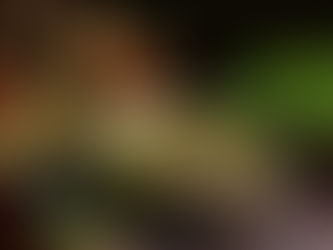 Tìm hiểu thắng cố và câu chuyện ẩm thực – Hương vị núi rừng khó quên