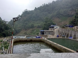 Top nhà hàng Mù Cang Chải ngon nổi tiếng, thưởng thức đặc sản Tây Bắc trọn vị