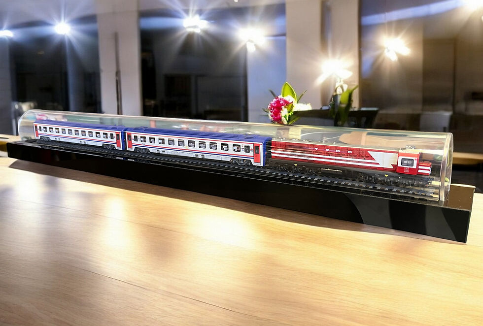 De24000 + Tvs2000 (2 Taşıt) 1/124 Model Tren