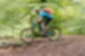 DSCF0320web.jpg