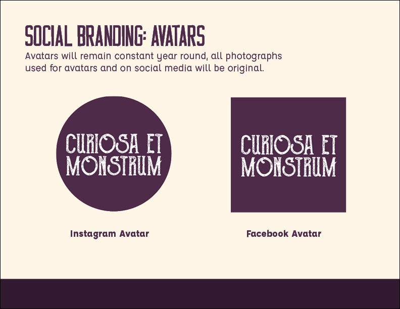 Curiosa Presentation FINAL13