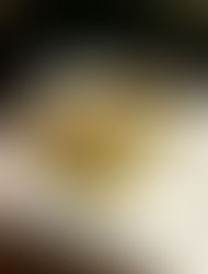 GREEN PALEO MEGABOOST QUICHE - meat and vegetarian version