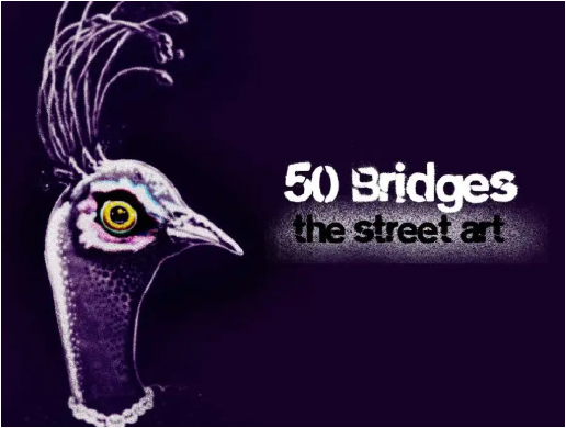 50 Bridges 50 Walls