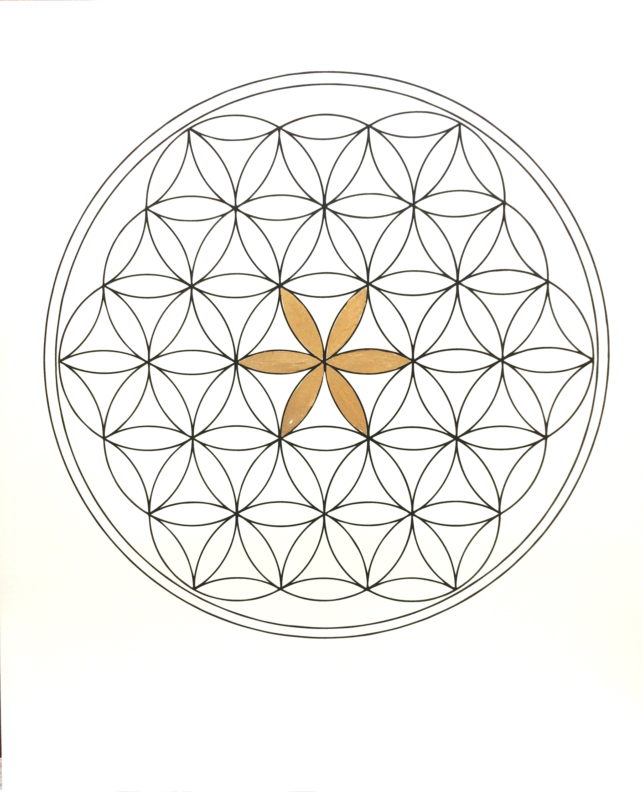 Golden Flower of Life (line)