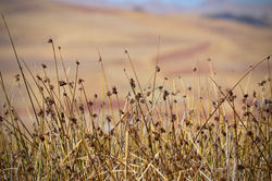 Favorites - 100 of 397