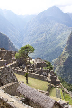 Favorites - 174 of 397