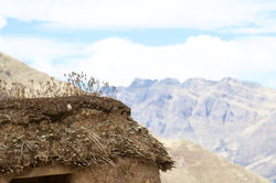 Favorites - 325 of 397