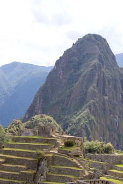 Favorites - 163 of 397