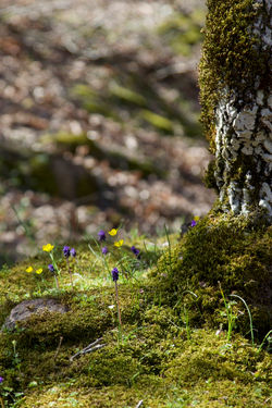 Favorites - 52 of 201