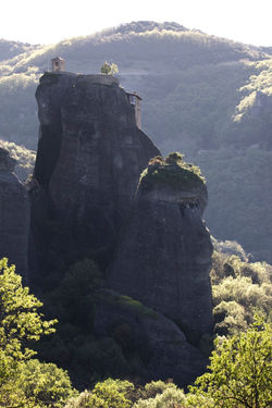 Favorites - 38 of 201