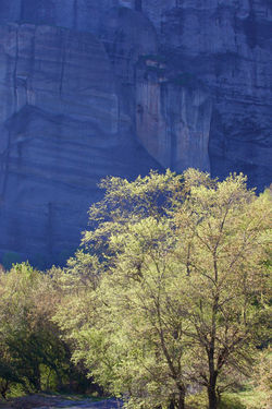 Favorites - 37 of 201