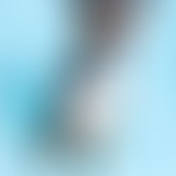 Left Tied to a Tree, this is Silk’s Story