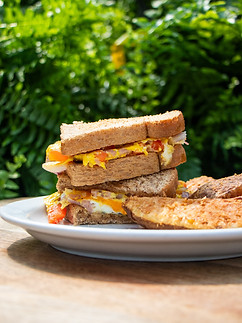 toasted western sandwich