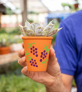 dot painted pot